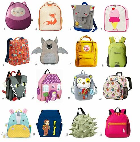 24008cc4388ff24909c7ab6367223d7f--toddler-backpack-small-backpack.jpg