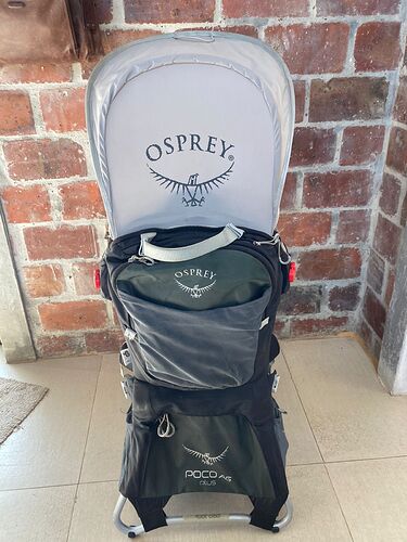 Osprey Poco 2