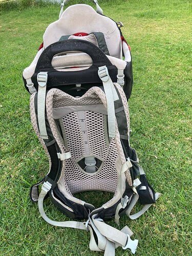 Osprey Poco 5