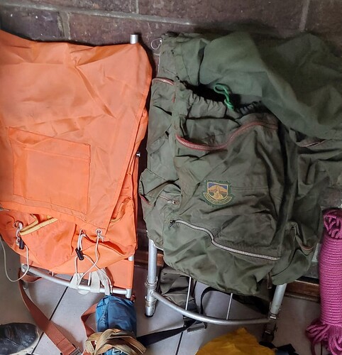 WhatsApp Image 2026-03-24 at 13.01.46